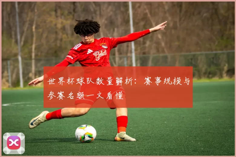 世界杯球队数量解析：赛事规模与参赛名额一文看懂