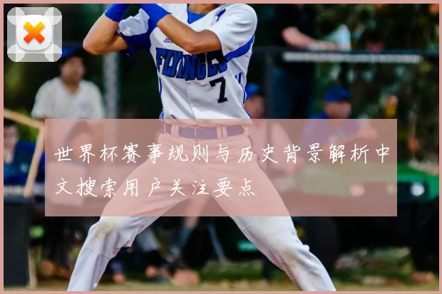 世界杯赛事规则与历史背景解析中文搜索用户关注要点