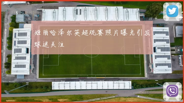 姬丽哈泽尔英超观赛照片曝光引发球迷关注