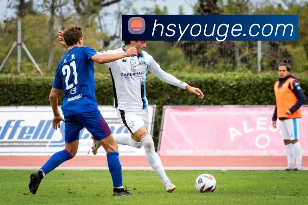 半岛网页版登录入口发展历程